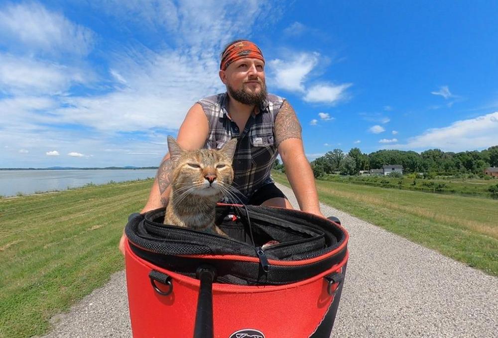 La storia di un operaio e di una gattina di strada diventati compagni di viaggio. A bordo di una bicicletta.