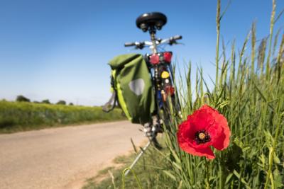 Ciclovie turistiche: in Veneto 37 milioni di euro per 84 chilometri di nuove piste per le biciclette
