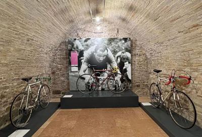 Museo della bicicletta,  a Pesaro un'ode alla storia delle due ruote
